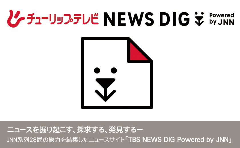 TBS NEWS DIG Powered by JNN