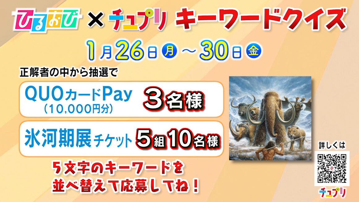 ひるおびプレゼント