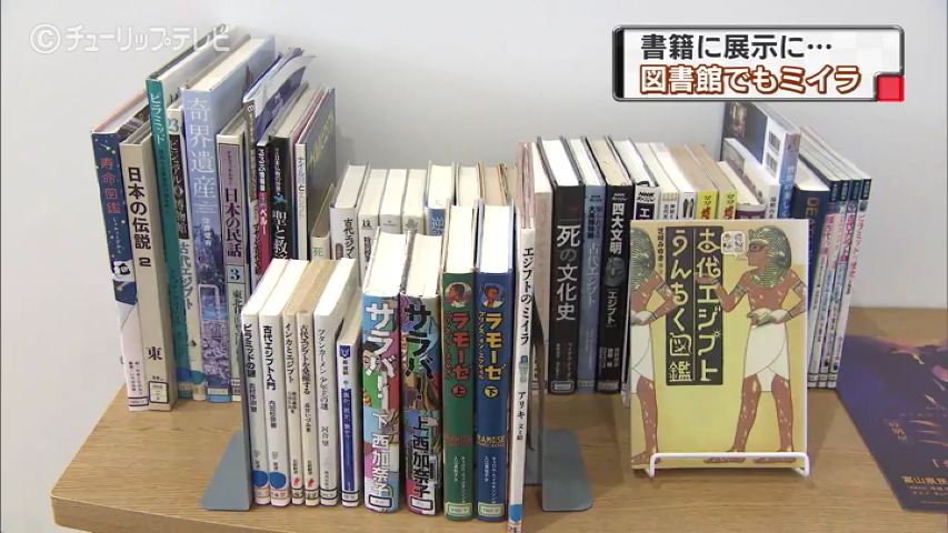 特別展ミイラとコラボ 書籍に展示に 図書館でミイラ 富山県のニュース あしたに もっとハッピーを チューリップテレビ